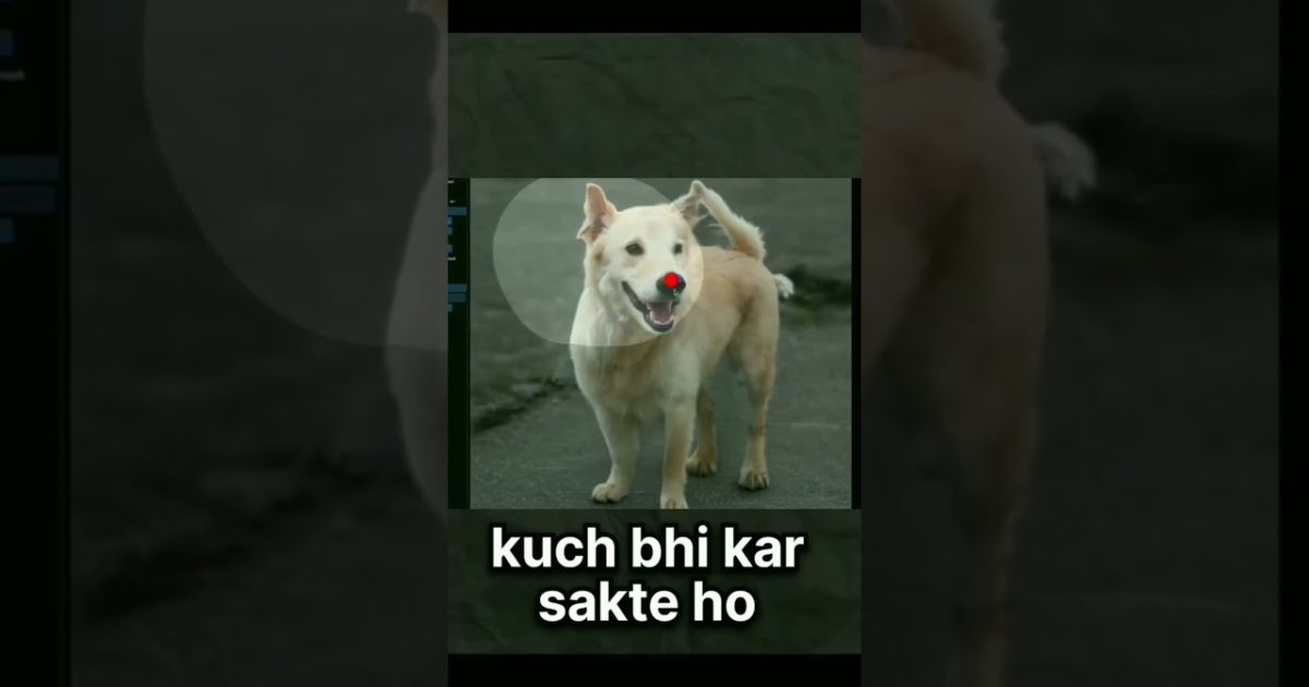 #please_subscribe_my_channel #tachnogamerz #thanksforwatching #webside #please_subscribe_my_channel
